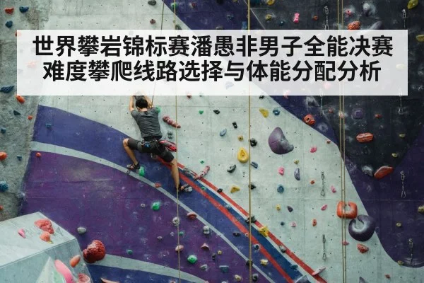 sport climbing competition wall